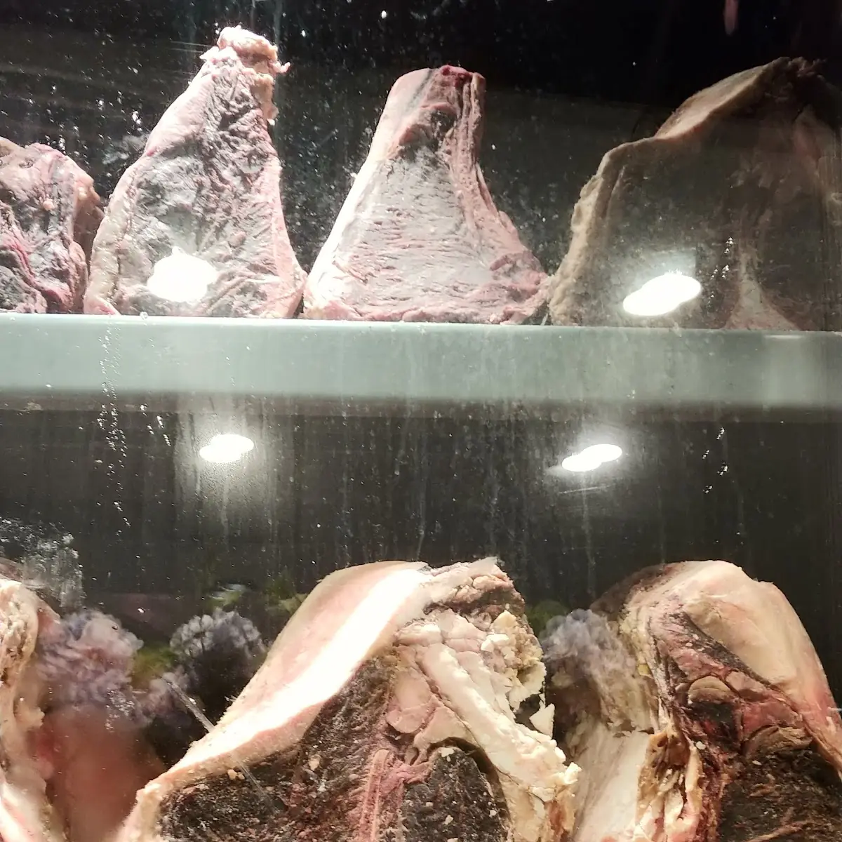 Wet-Aged Lamb Chops 3 Chops