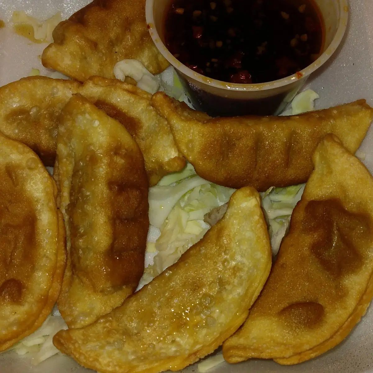 Fried Dumplings 8