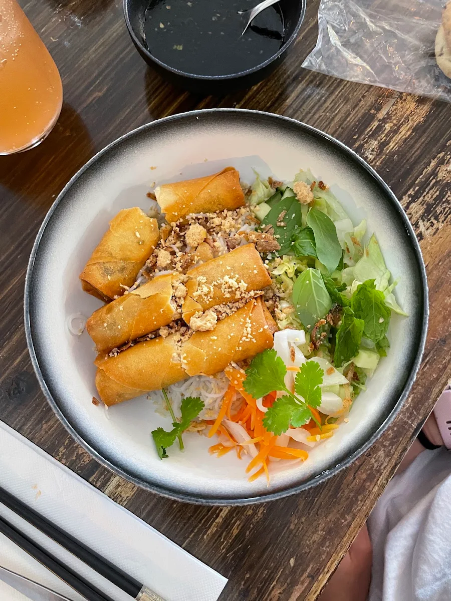 Vegetarian Net Spring Roll