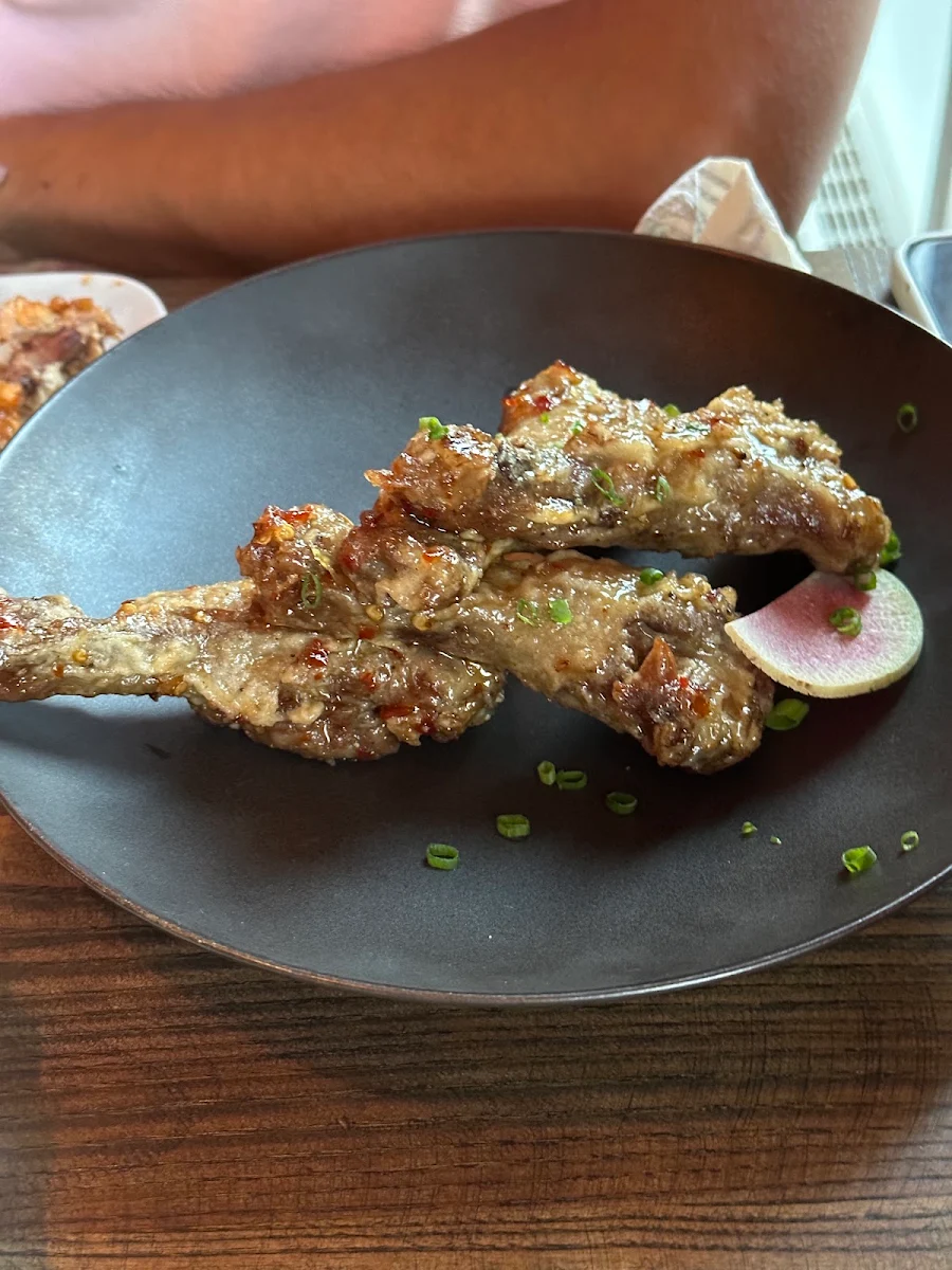 Duck Wings, Oorja