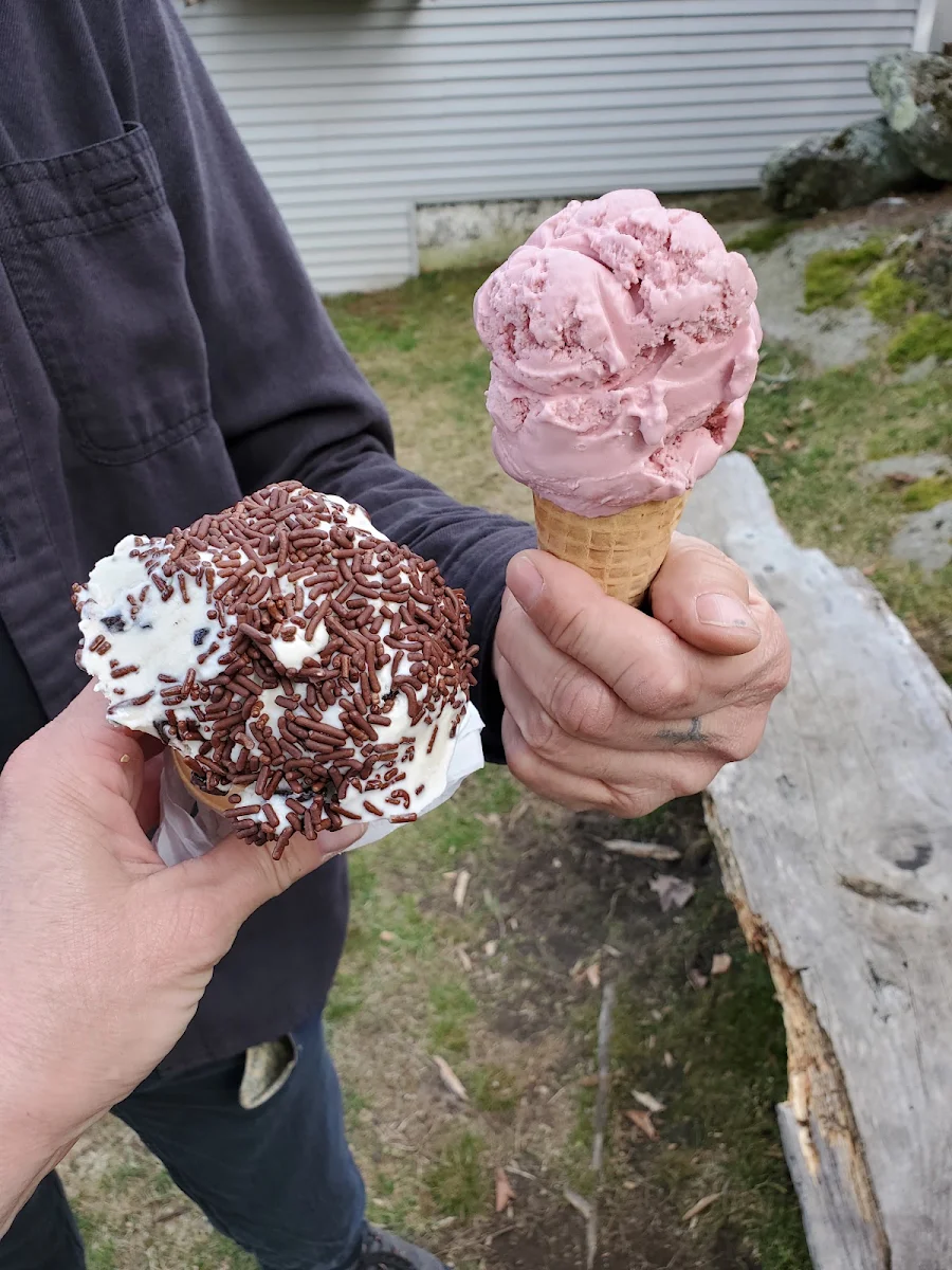 Chocolate Chip & Black Raspberry