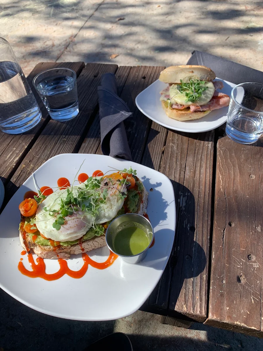 Avocado Toast