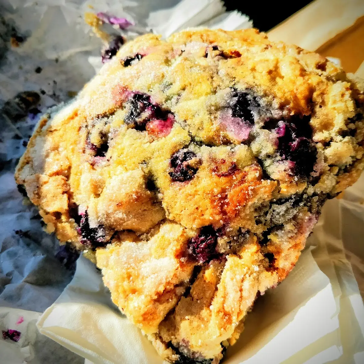Blueberry Muffin