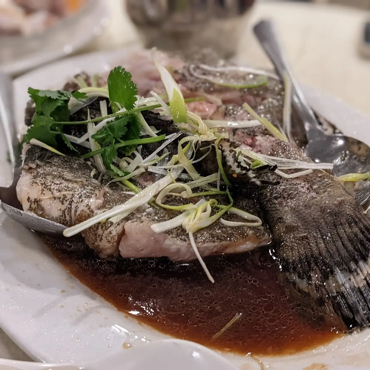 Steamed Black Bass