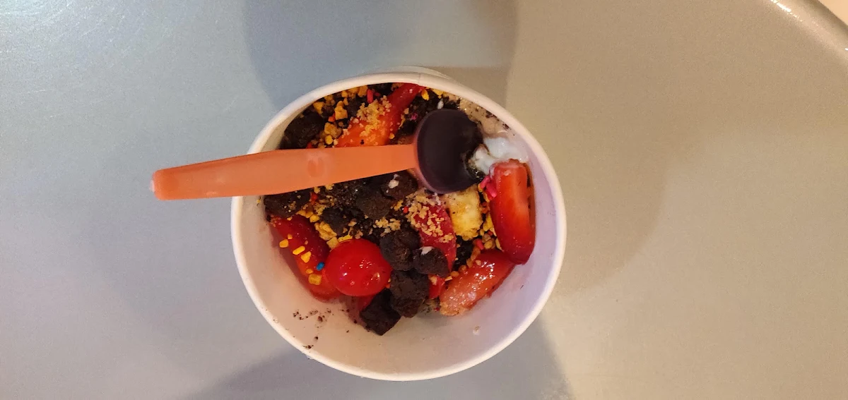 Frozen Yogurt