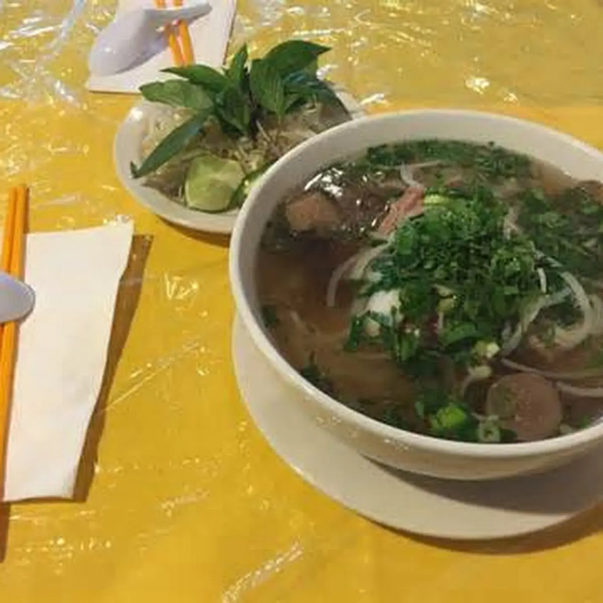 Vegetable Noodle Soup