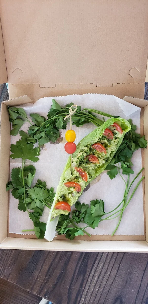 Spicy- RAW Gluten Free Wrap- Hummus wrap