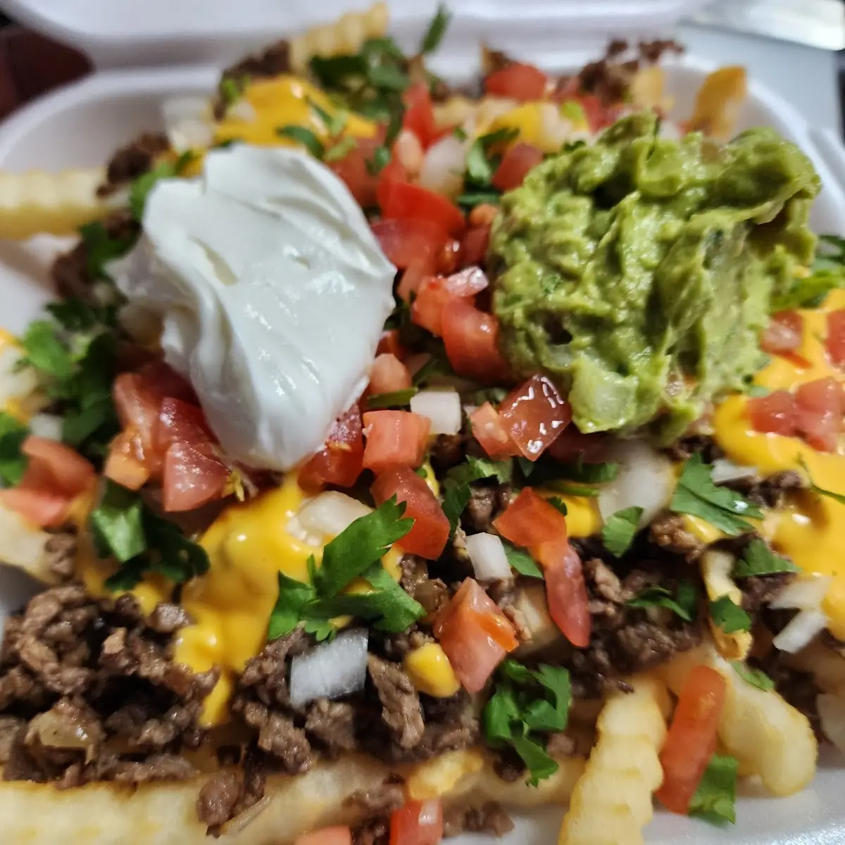 Asada Fries Mr C