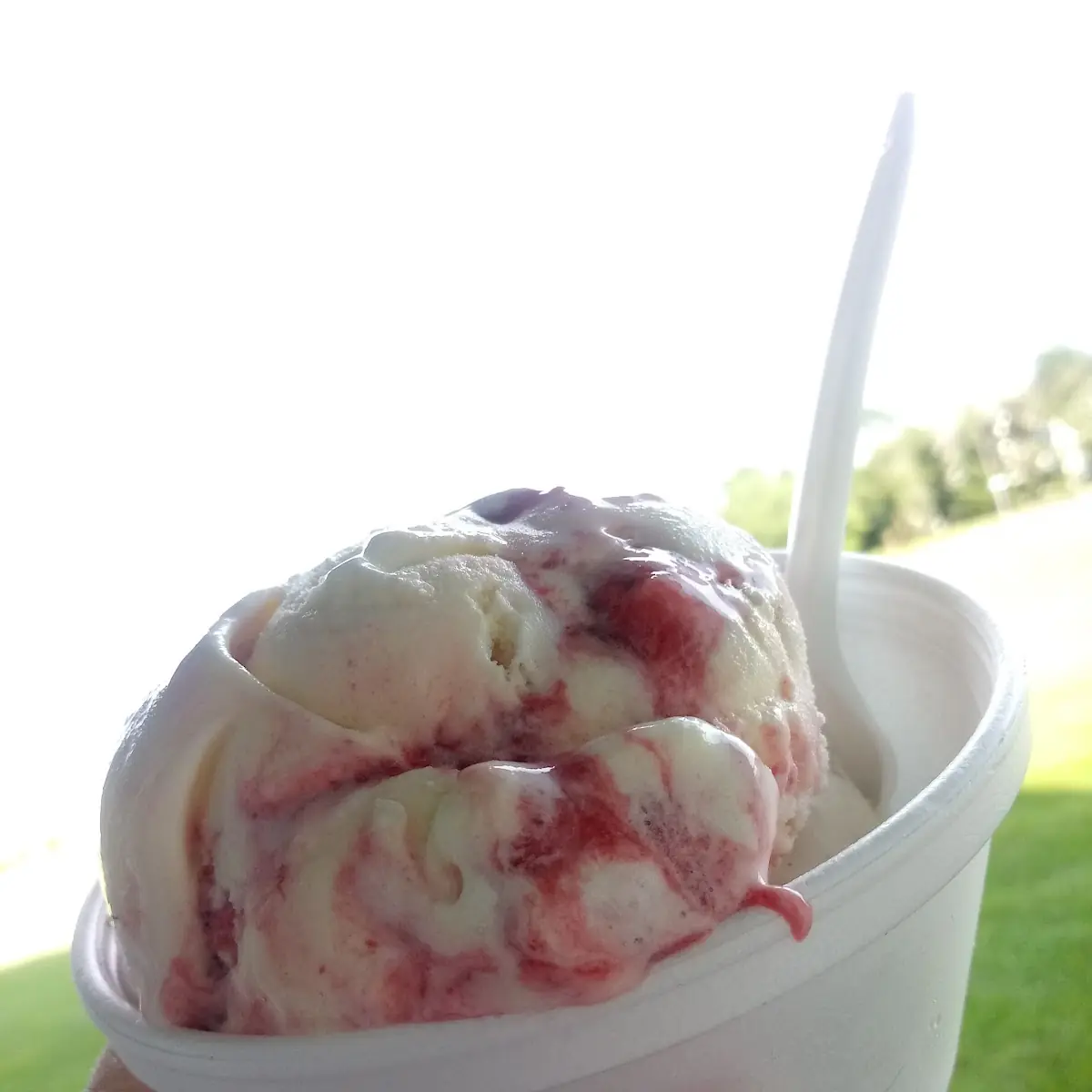 Strawberry Cheesecake Ice Cream