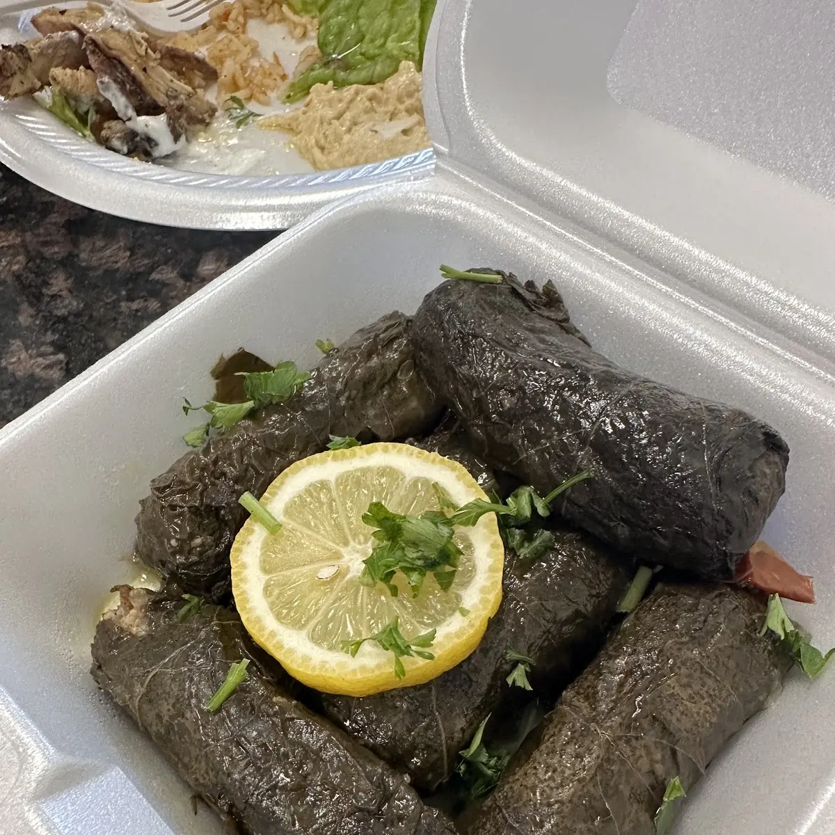 Grape Leaves Appetizer
