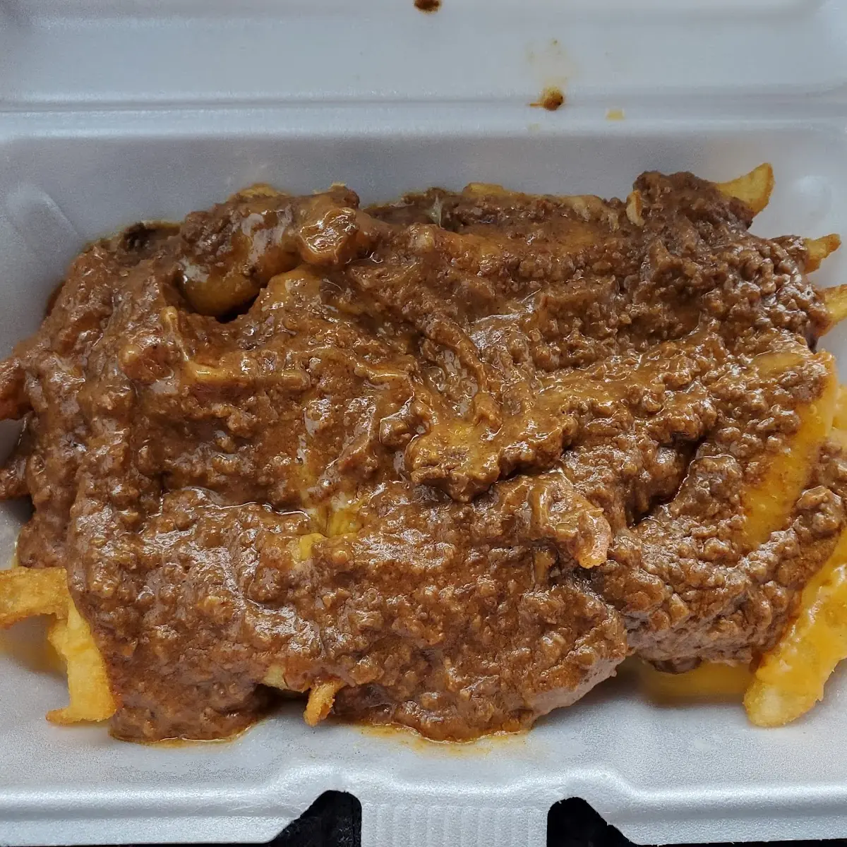 Chili and Cheese Fries