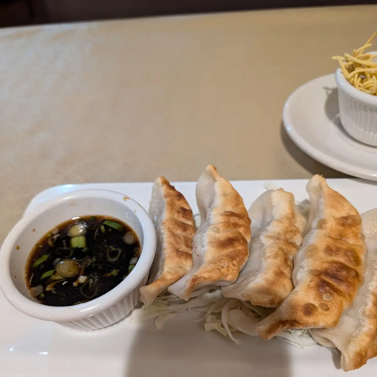 Fried Dumplings