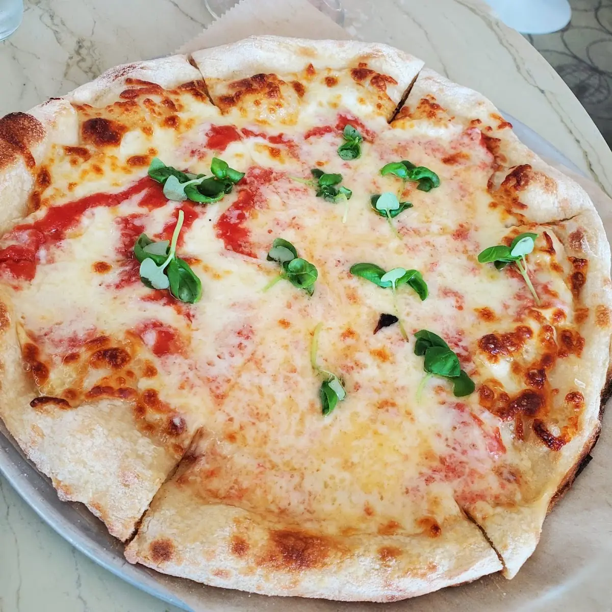 Tomato & Mozzarella