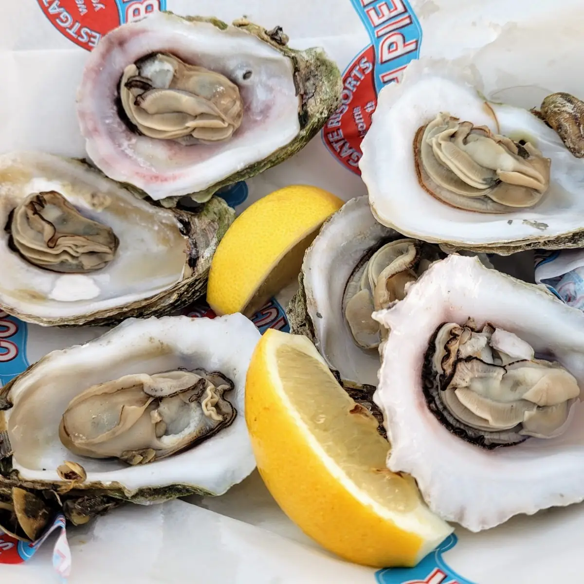 Oysters on the Half Shell