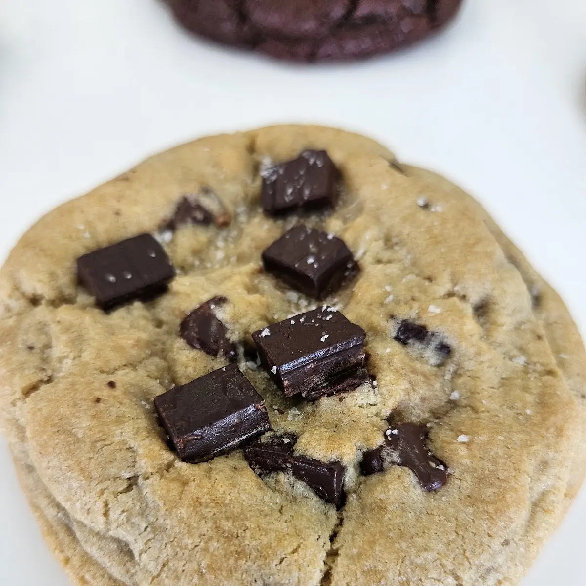 Chocolate Chip Cookie