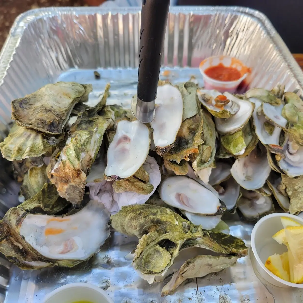 Oysters on the Half Shell