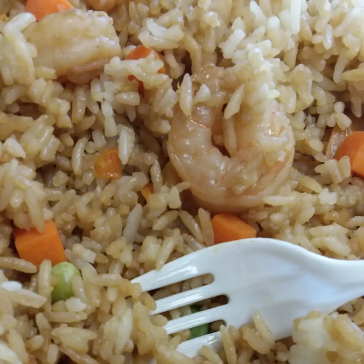 Shrimp Fried Rice