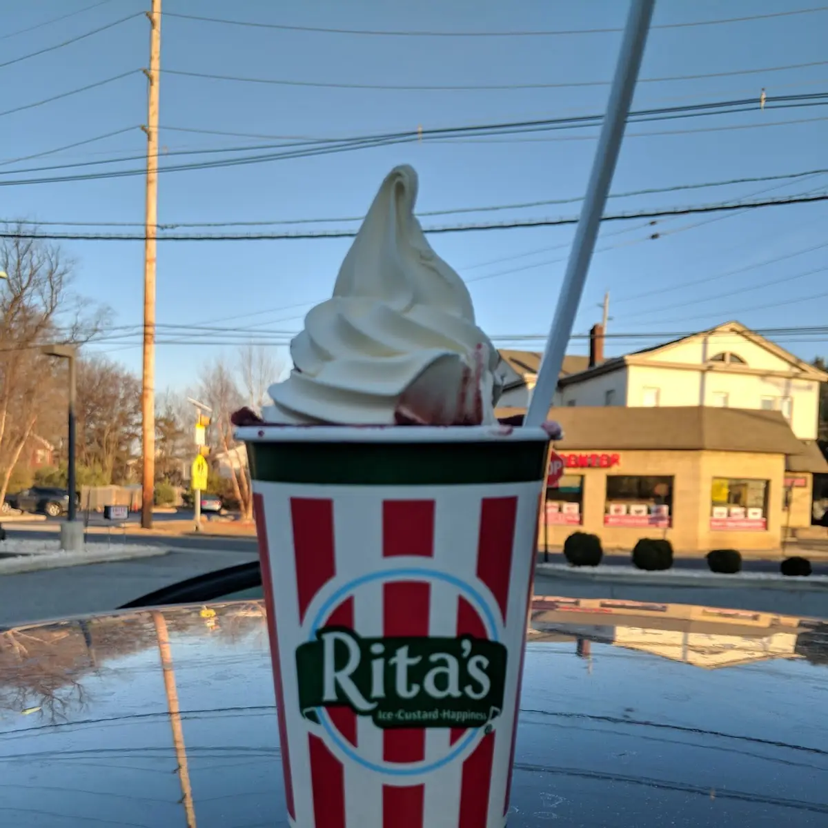 Black Cherry Gelati