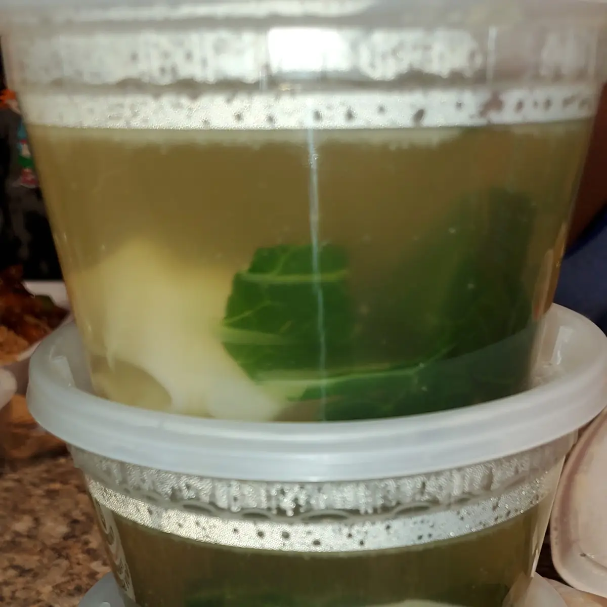 Wonton Egg Drop Soup