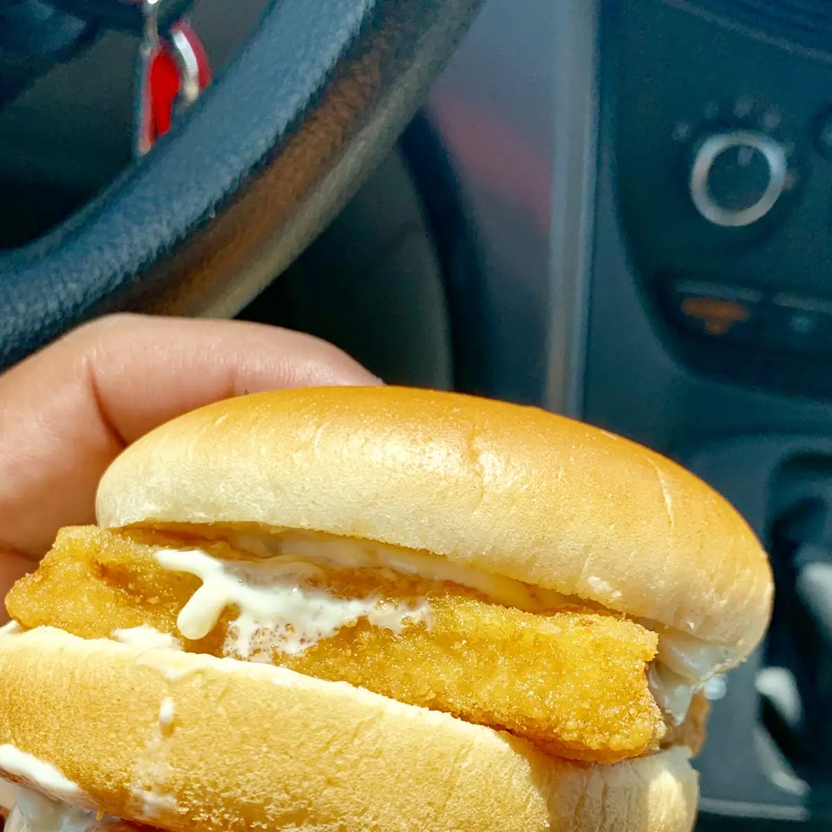 Fish Sandwich