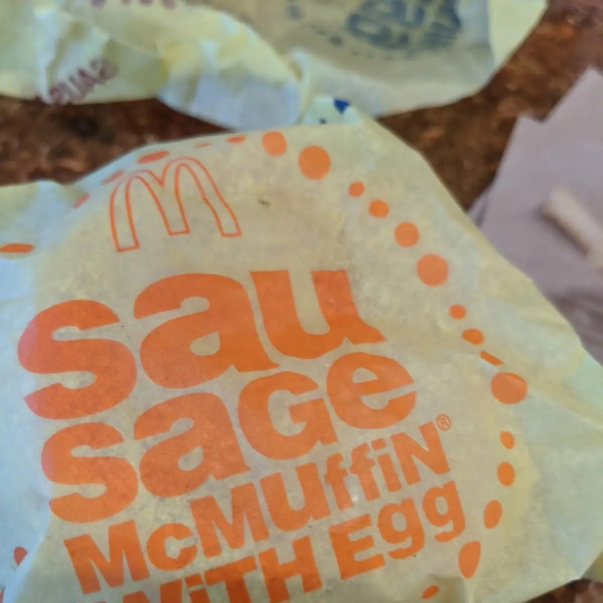 Not Sure Maybe Sausage Mcmuffin with Egg