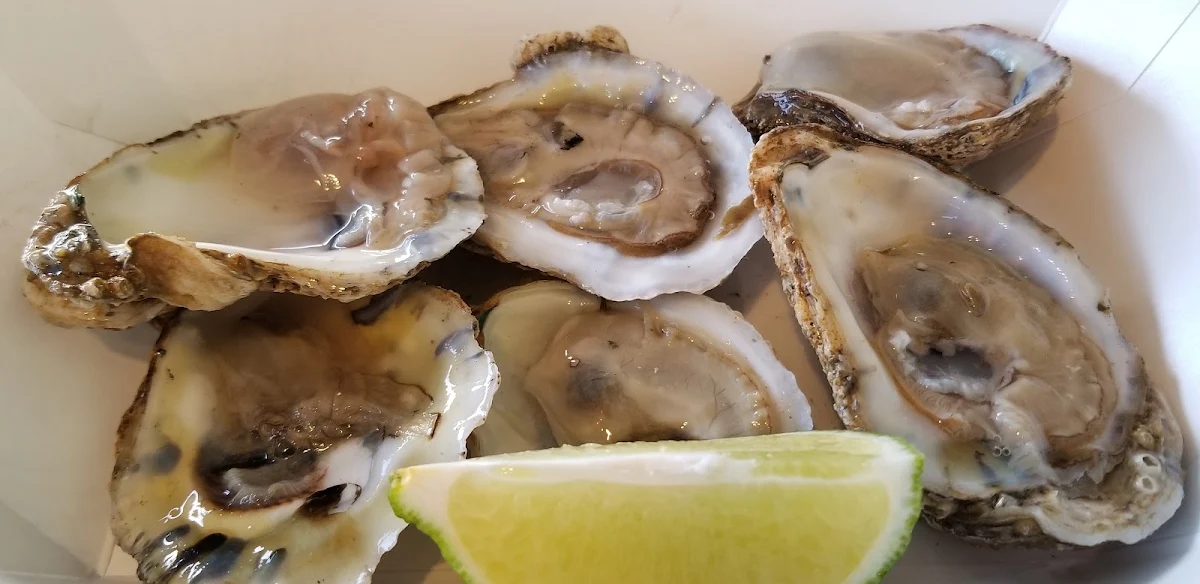 Oysters on the Half Shell