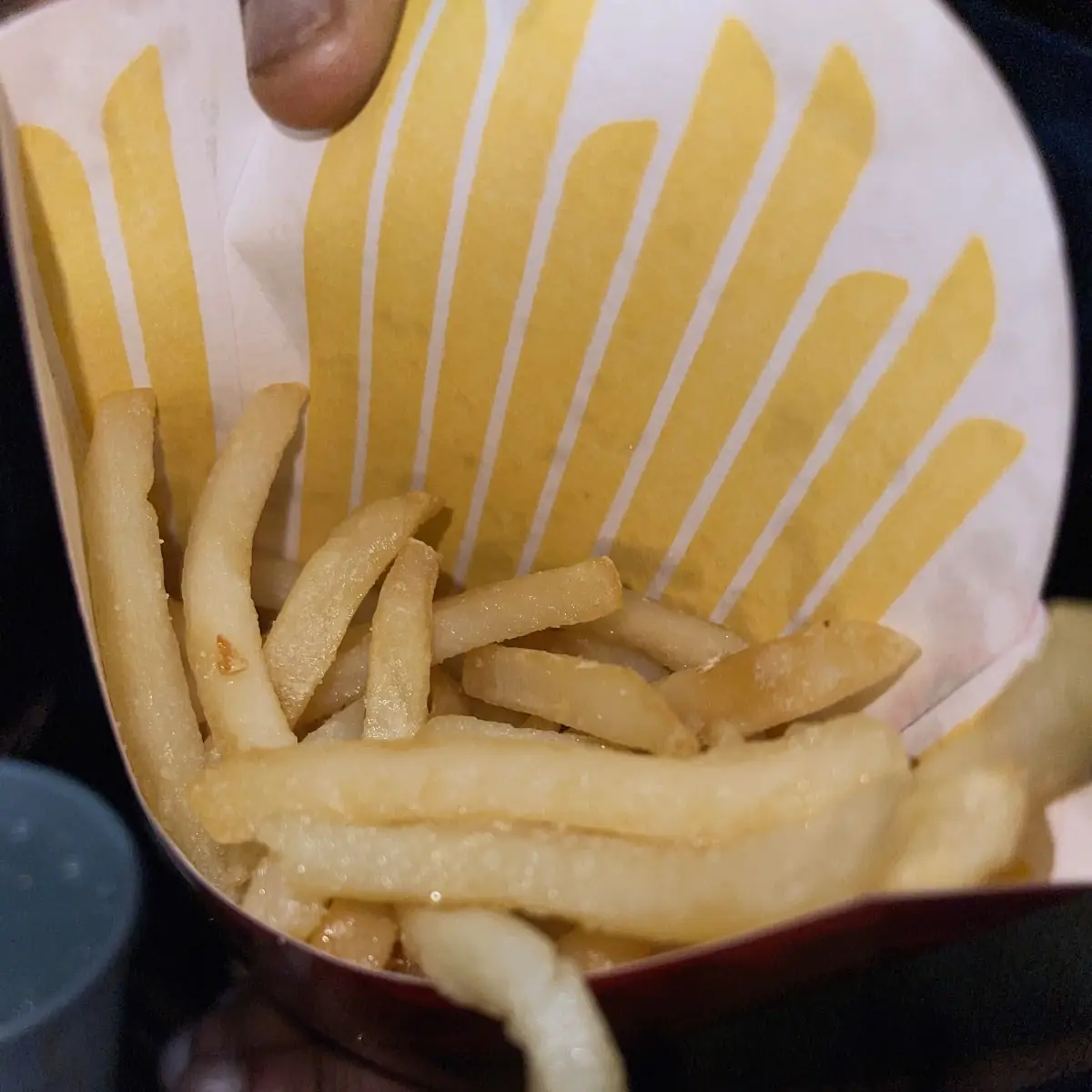 World Famous Fries