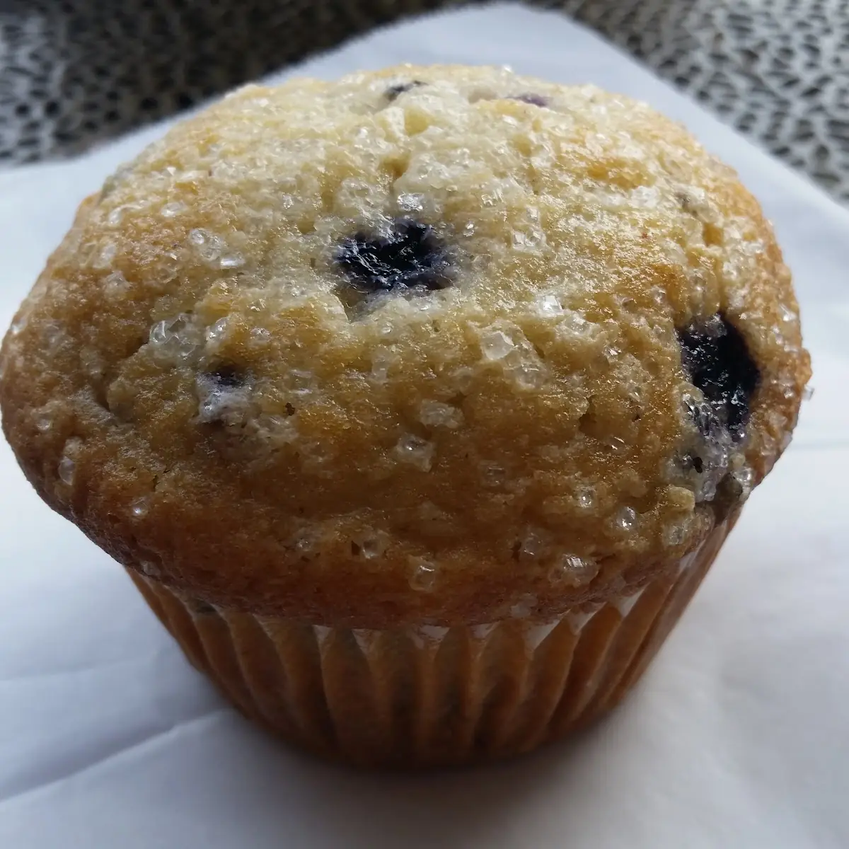 Blueberry Muffin