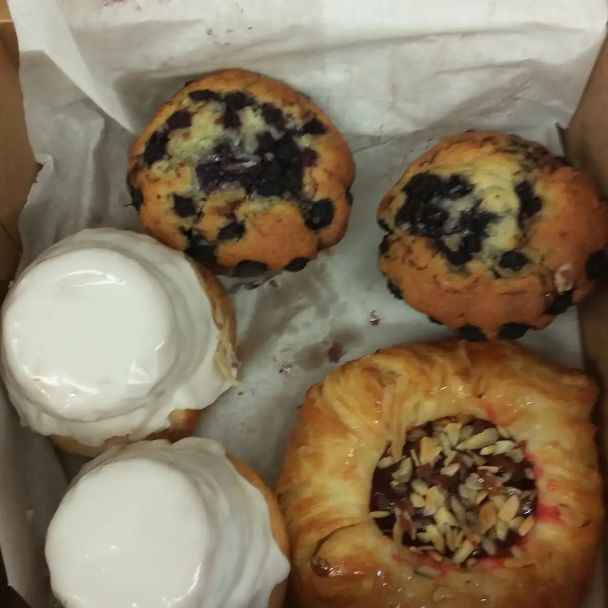 Blueberry Muffin