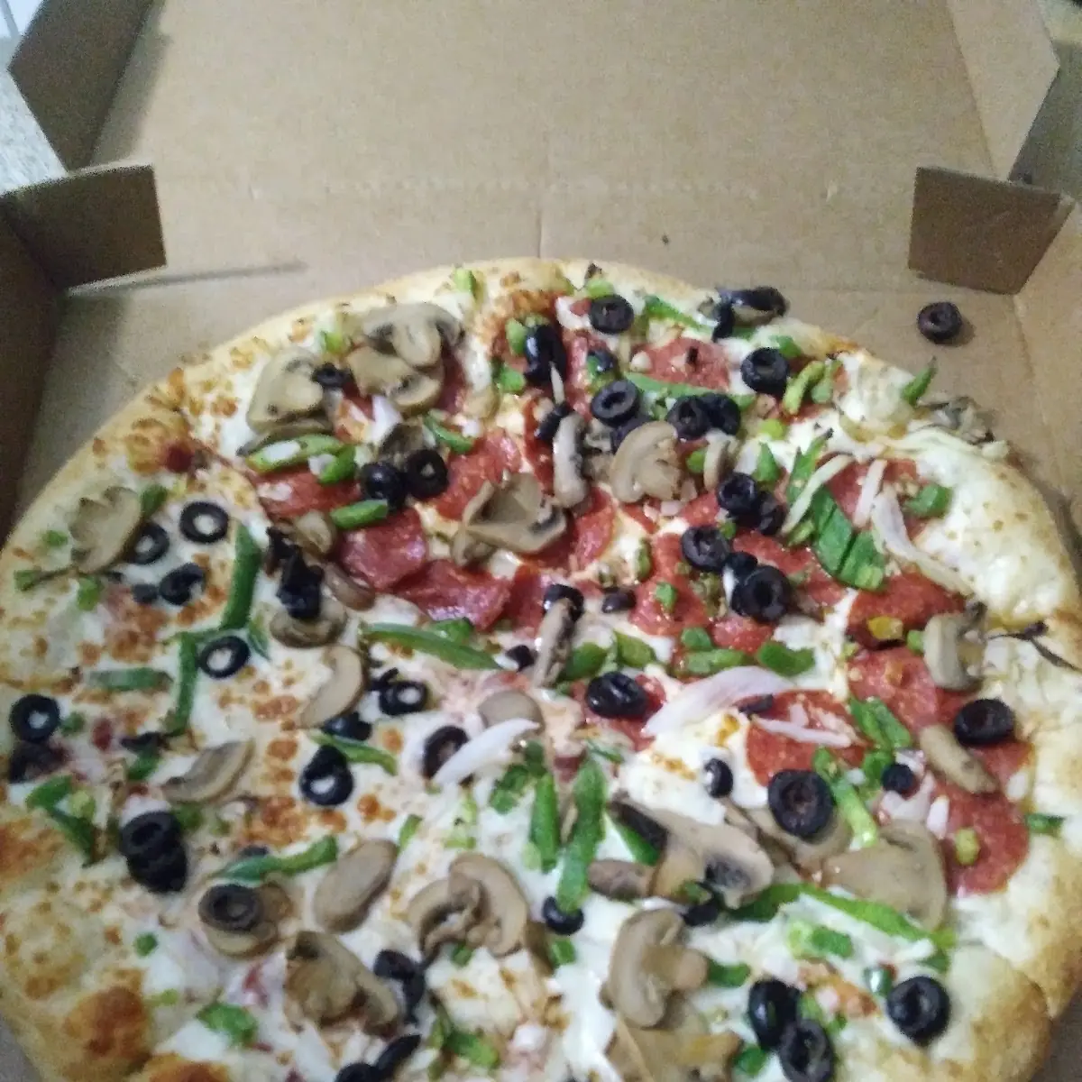 Vegetarian Pizza