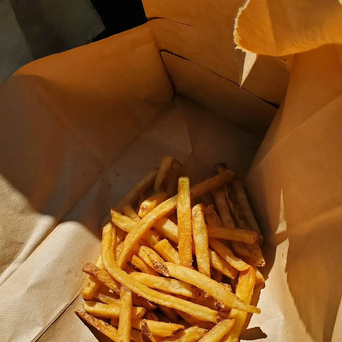 Hardee's Special 7 Day Old Grease Fries