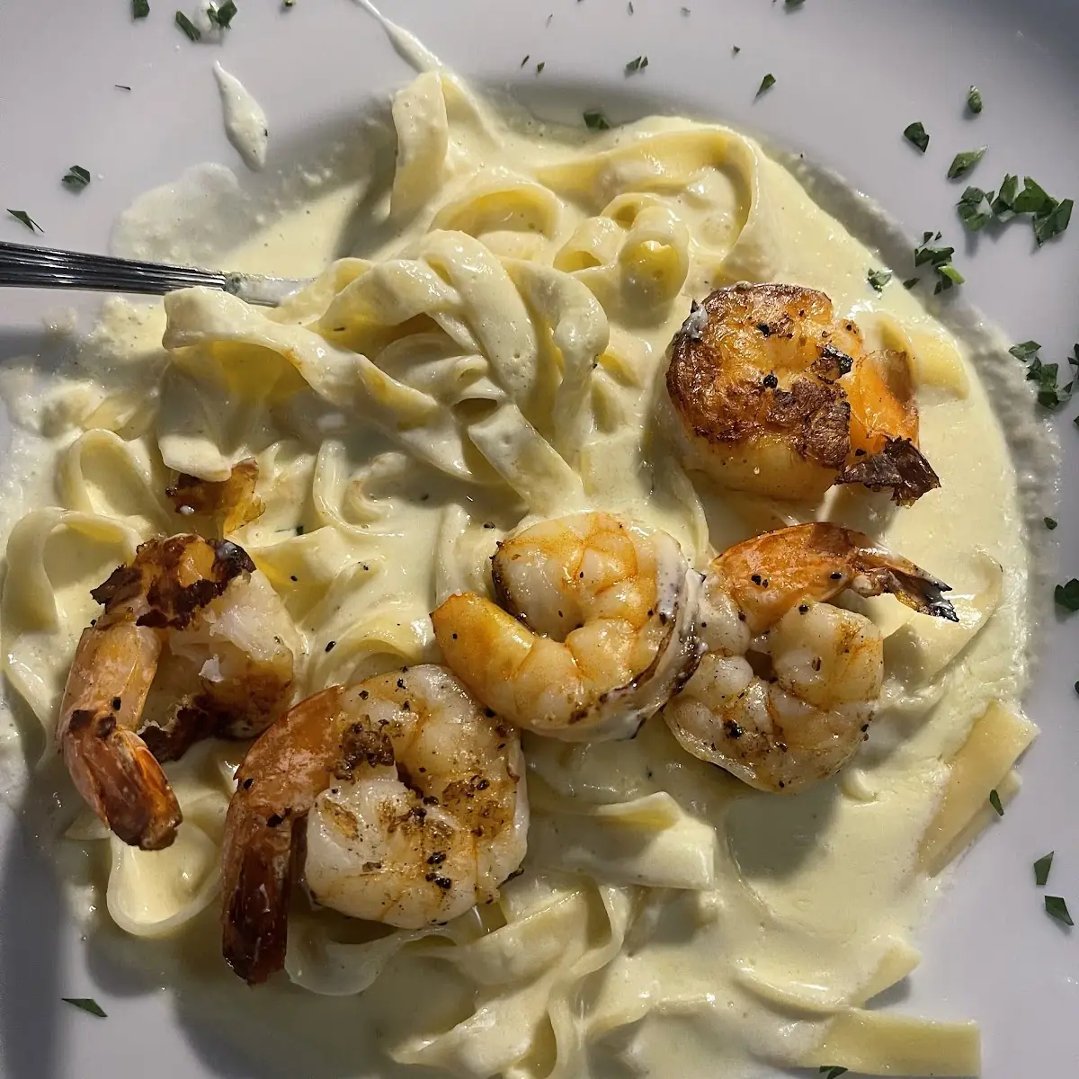Shrimp Alfredo
