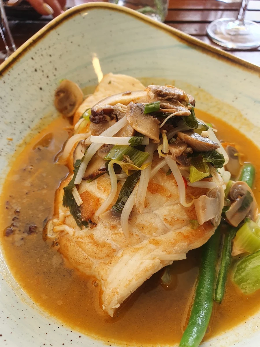 Fish of the Day