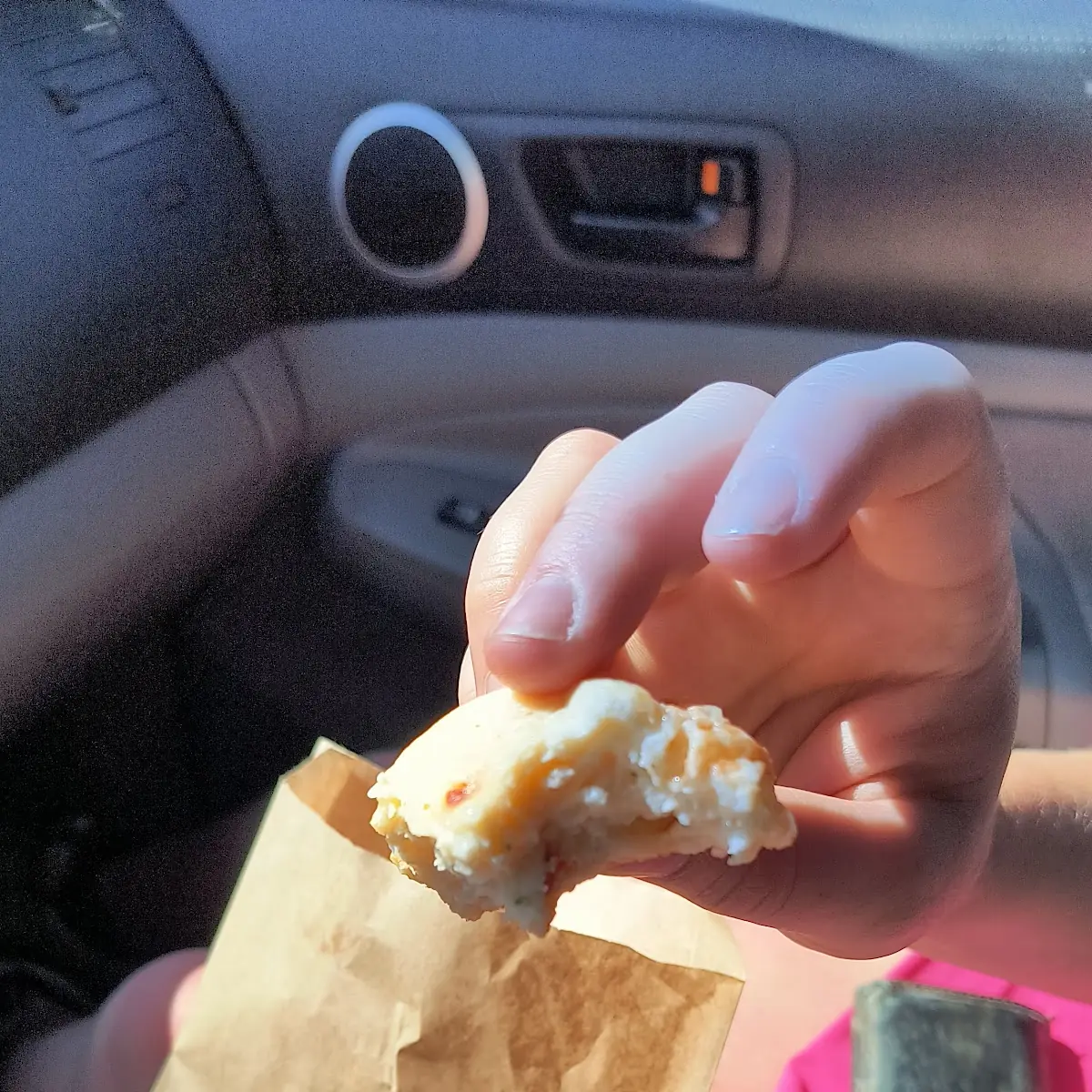 The Egg Bites