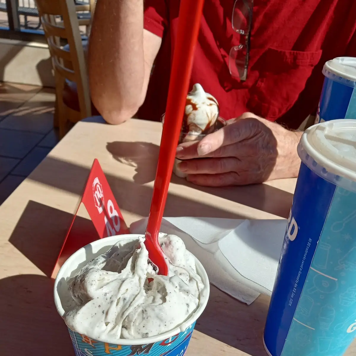 Mint Oreo Blizzard Treat