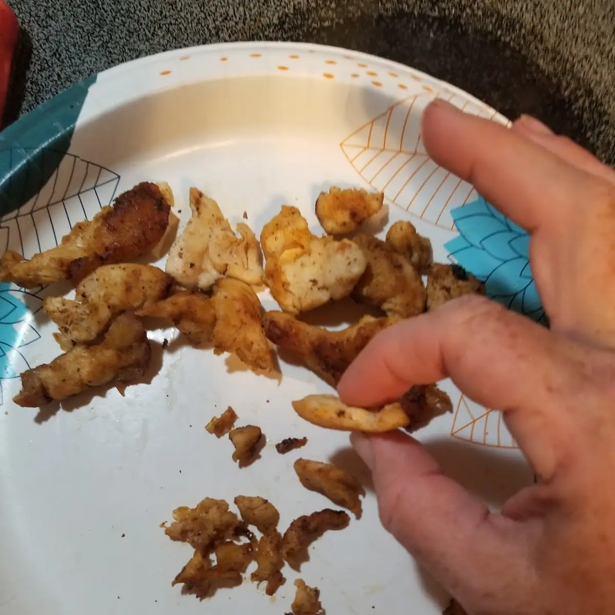 Child's Grilled Chicken Fingers