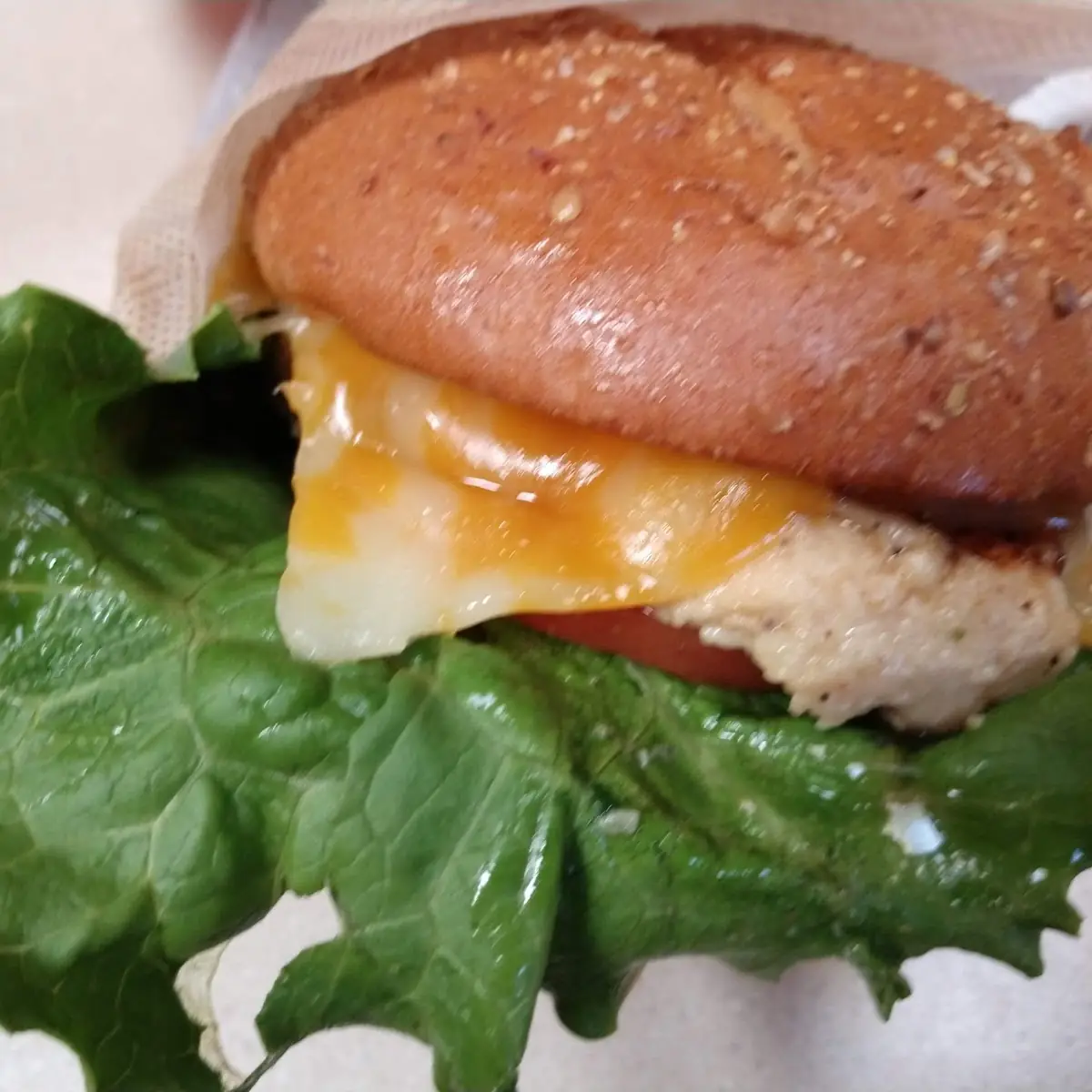 Grilled Chicken Deluxe with Colby Jack Cheese