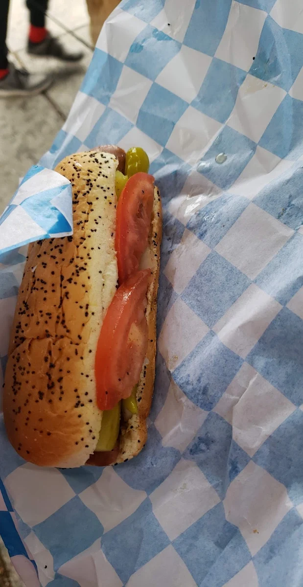 Chicago Hot Dog