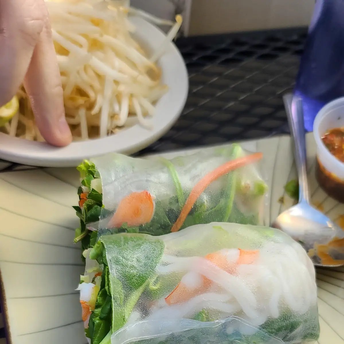Fresh Spring Rolls 4