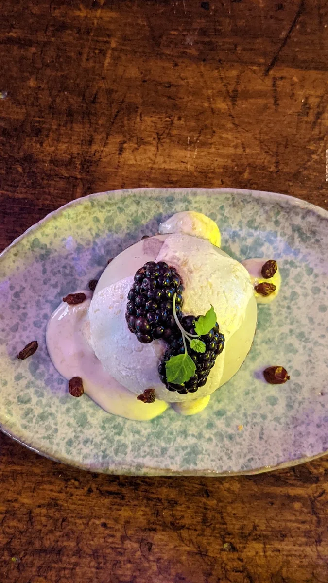 Avocado Mousse, SHU