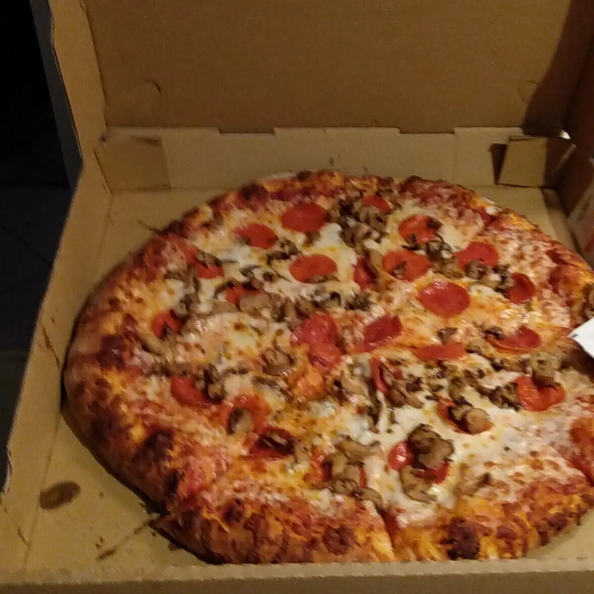 Mushroom Pizza