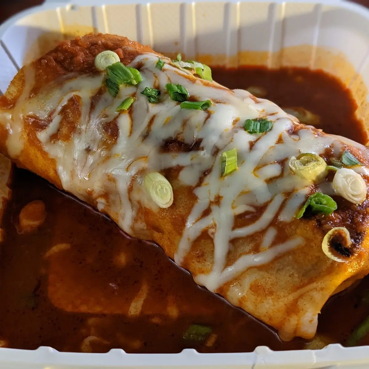 Wet Burrito
