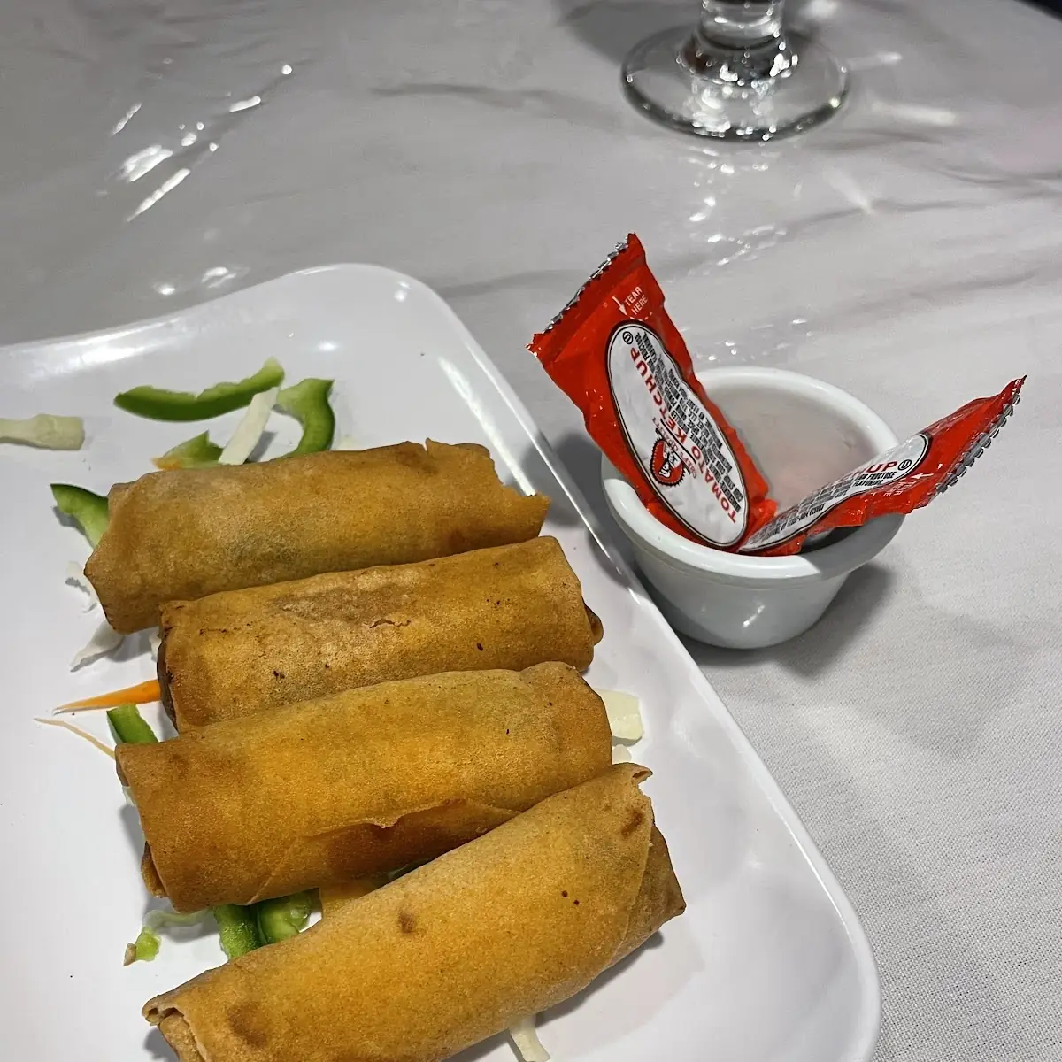 Veg Spring Roll