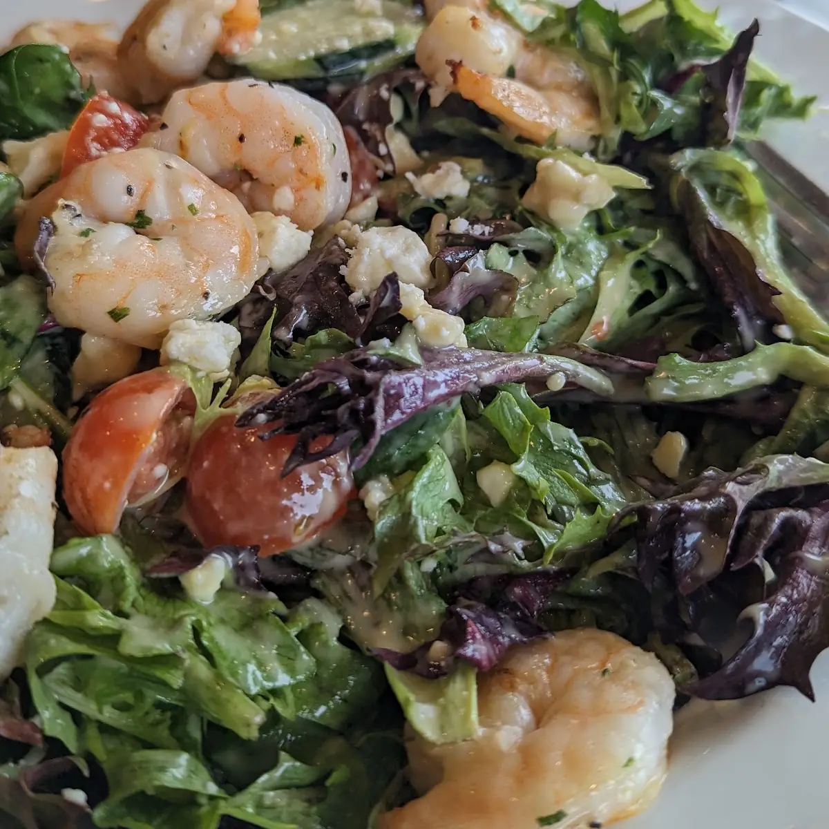 Shrimp Salad