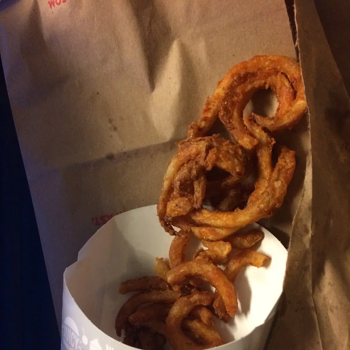 Seasoned Curly Fries