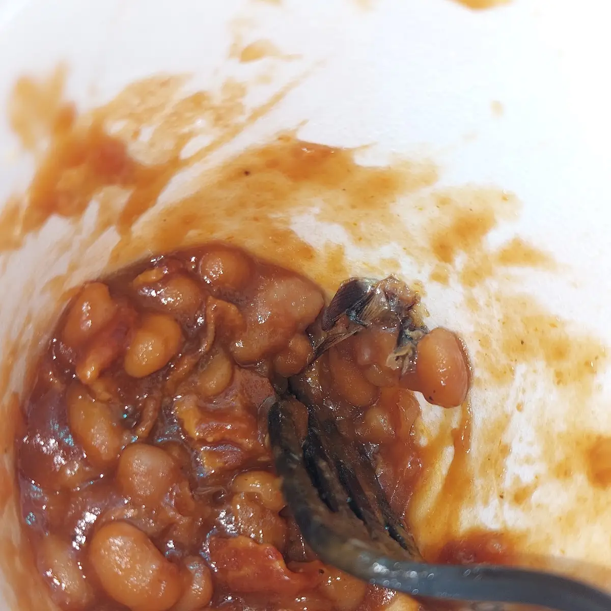 Baked Beans