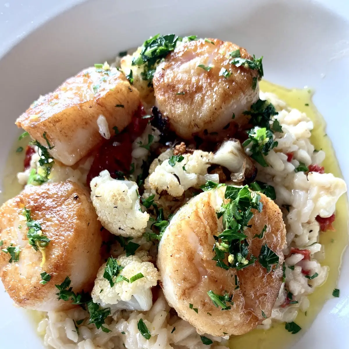 Broiled Dry Packed Fresh Deep Sea Scallops