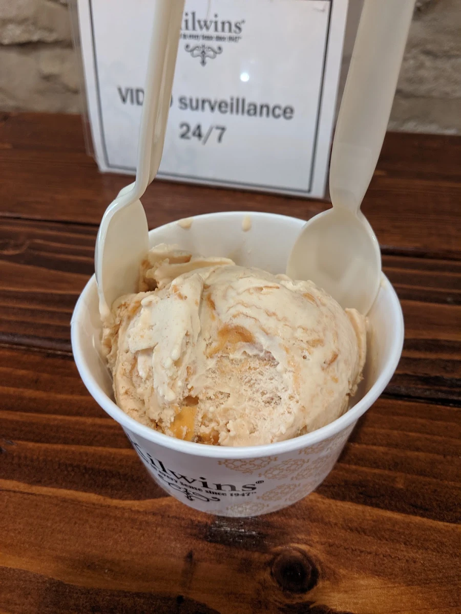 Double Peanut Butter Pie Ice Cream