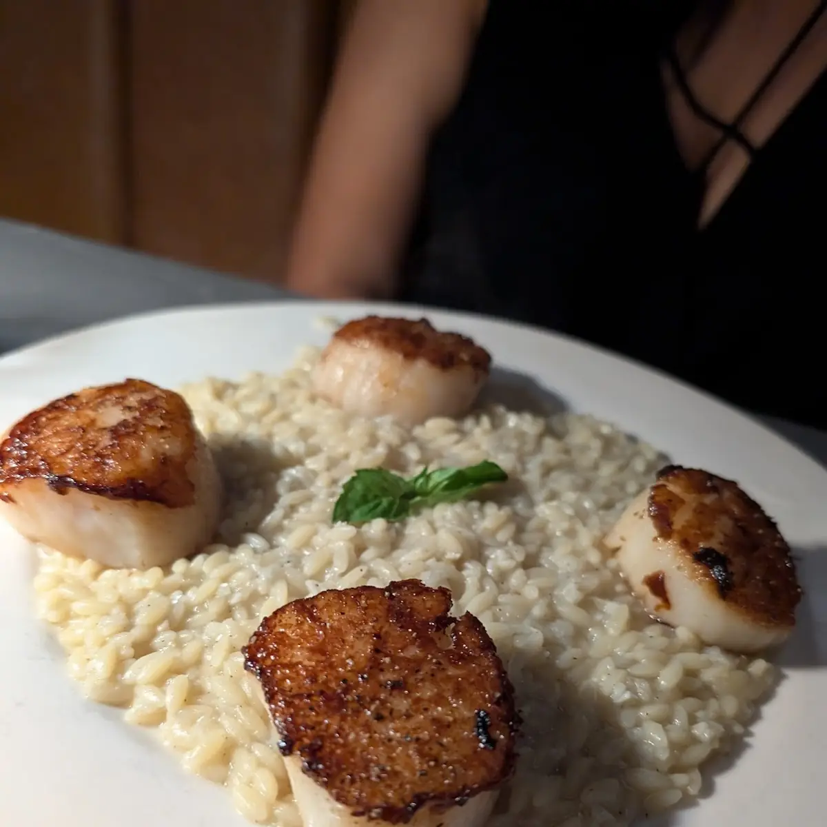 Pan Seared Scallops