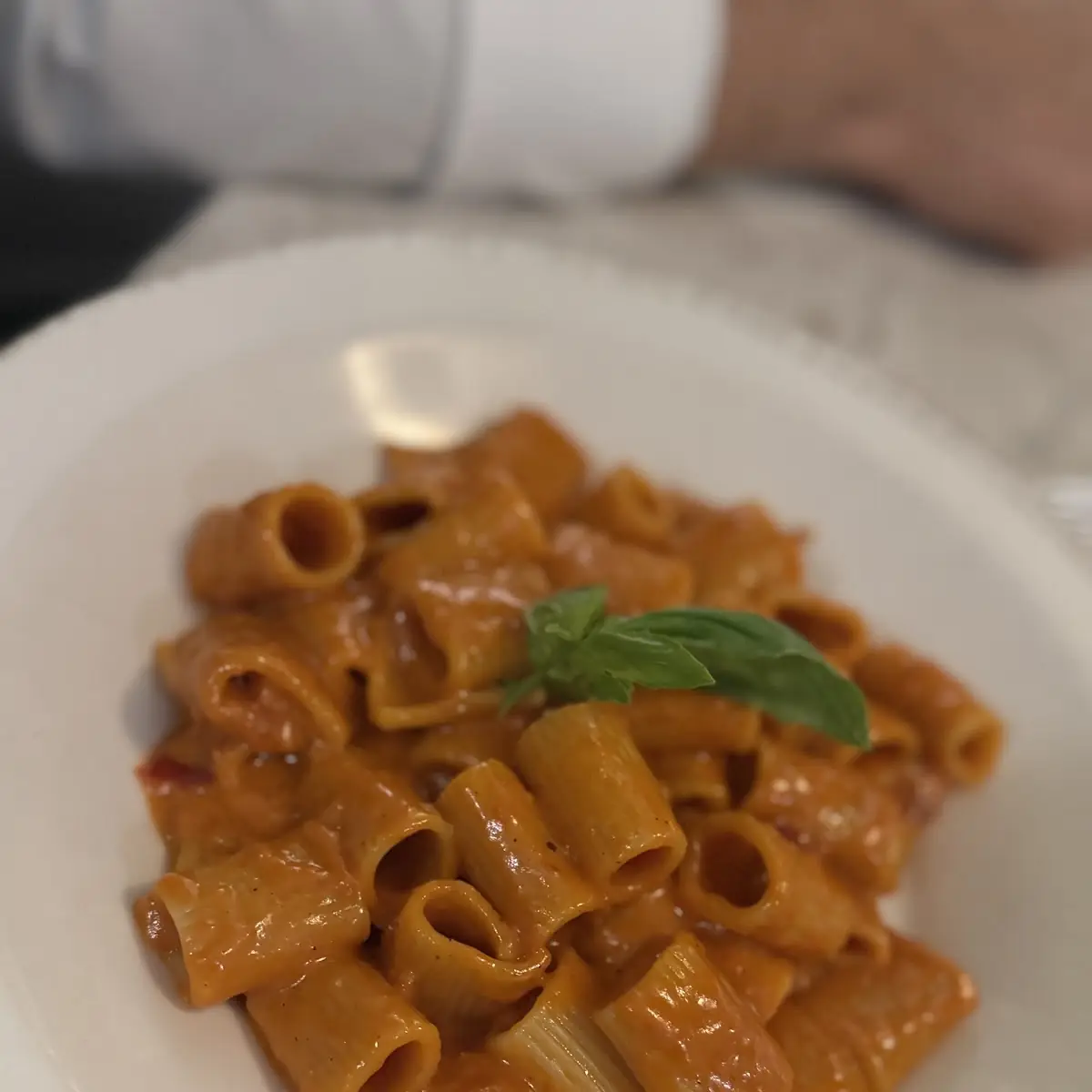 Rigatoni with Tomato Basil Sauce